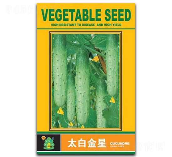 ̫�׽���-�S�ϷN��-�Έ@����