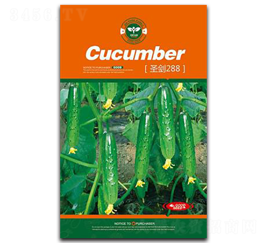 ʥ��288-�S�ϷN��-�Έ@����