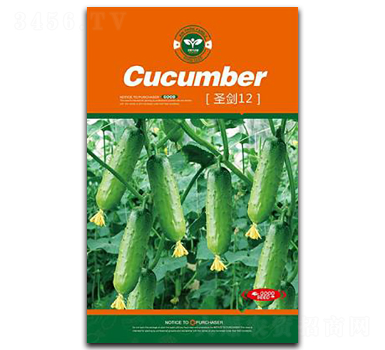 ʥ��12-�S�ϷN��-�Έ@����