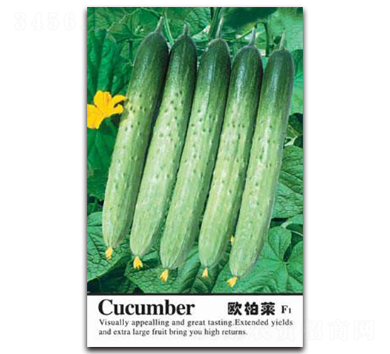 �W���R-�S�ϷN��-�Έ@����