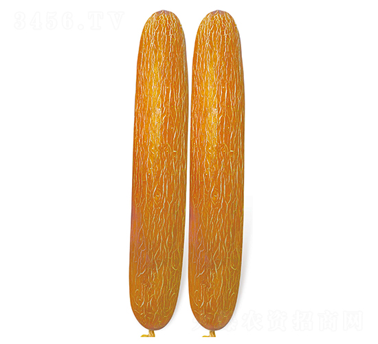 �ρ�(l��i)��-�S�ϷN��-�Έ@����