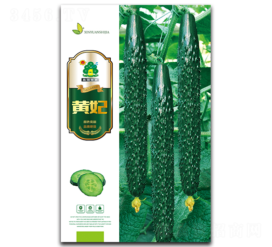 黃妃-黃瓜種子-鑫園世家