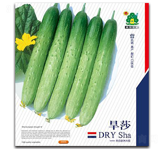 旱莎-黃瓜種子-鑫園世家