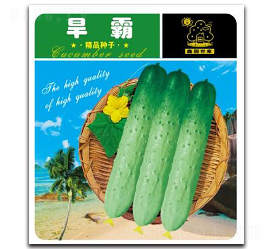 旱霸-黃瓜種子-鑫園世家