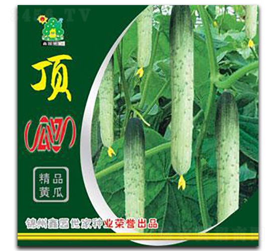 頂瓜瓜-黃瓜種子-鑫園世家