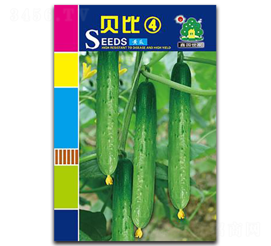 貝比4-黃瓜種子-鑫園世家