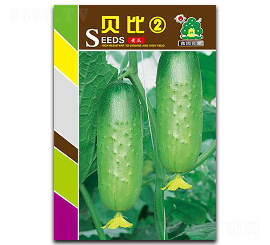 貝比2-黃瓜種子-鑫園世家