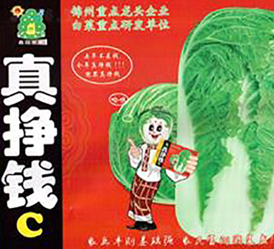 真掙錢C-白菜種子-鑫園世家