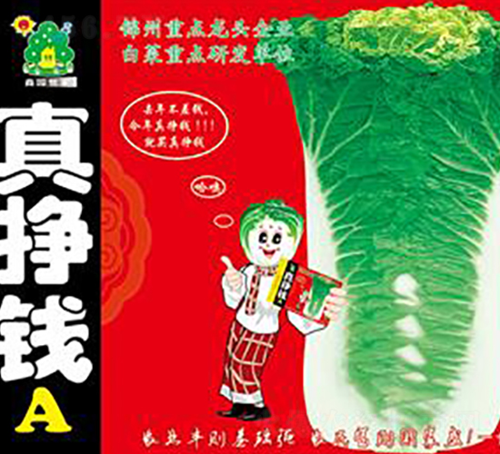 真掙錢A-白菜種子-鑫園世家