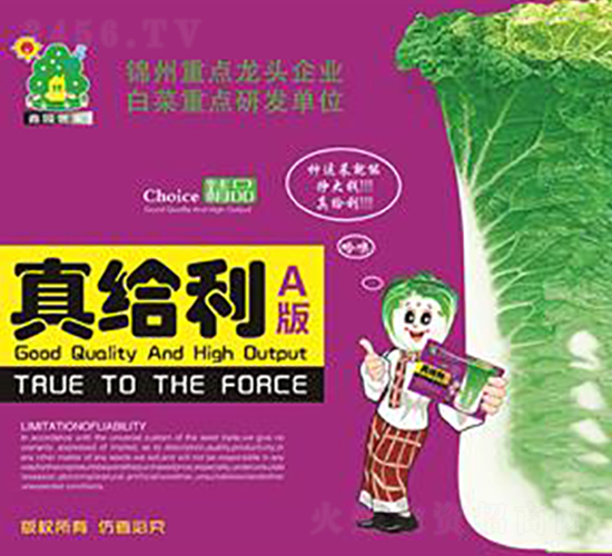 ��o��A-�ײ˷N��-�Έ@����