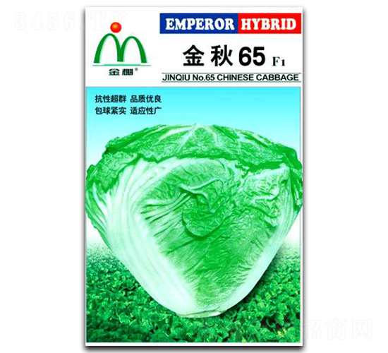 �������65��ײ�-�ײ˷N��