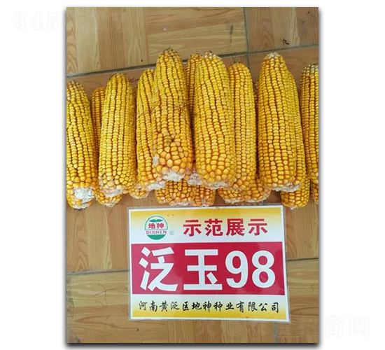 泛玉98-玉米種子