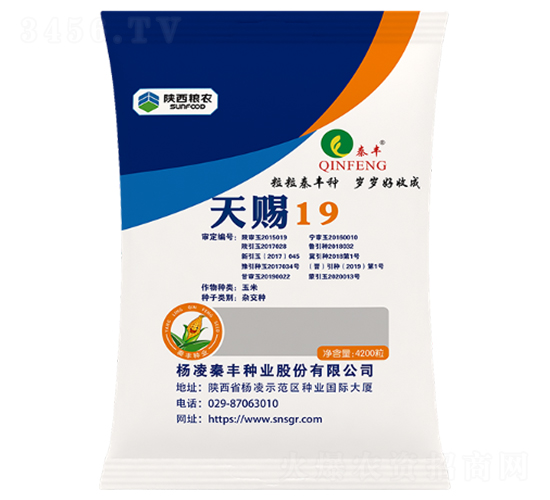 ���n19-���׷N��