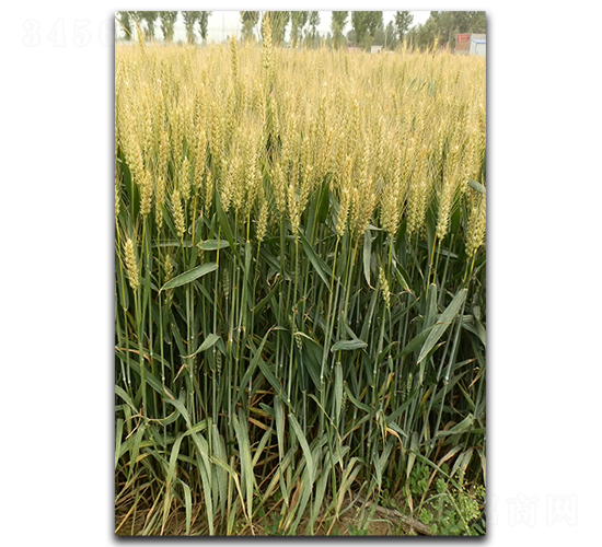 ����170-С���N��