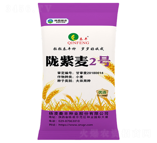 隴紫麥2號(hào)-小麥種子