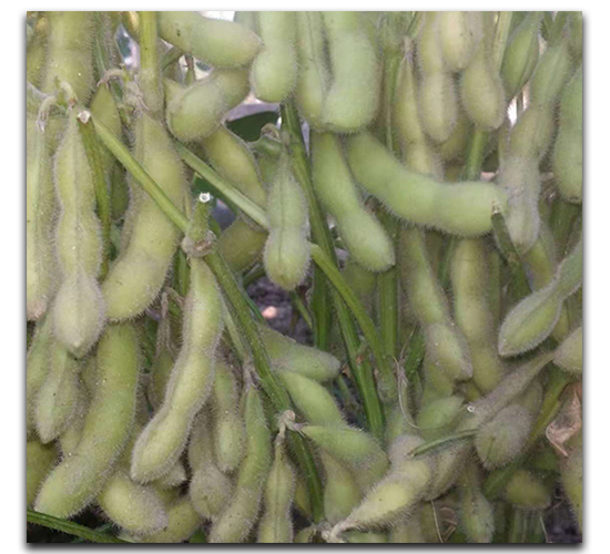 ����95-1-ë���N��-ï�A�N�I(y��)