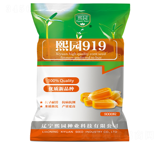 ���@919-���׷N��-���@�N�I(y��)