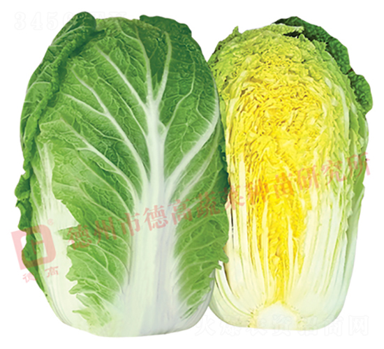 17L723-��ײ˷N��-�¸�