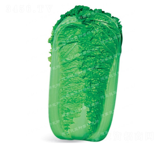 �����[���ײ�-CR118-��ײ˷N��-�¸�