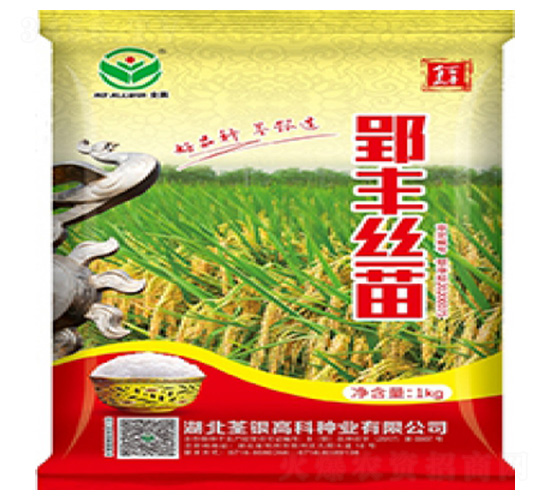 郢豐絲苗-水稻種子-荃銀高科