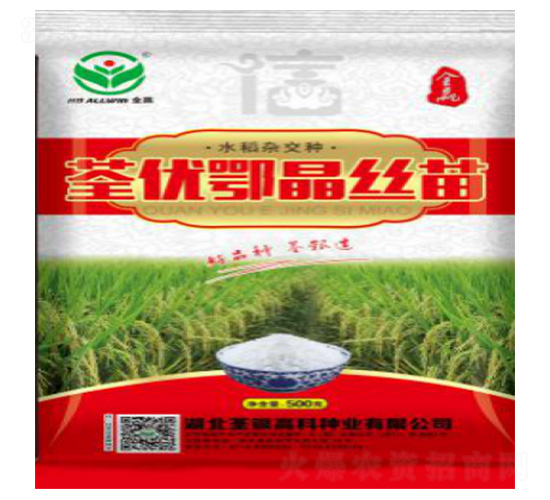 荃優(yōu)鄂晶絲苗-水稻種子-荃銀高科