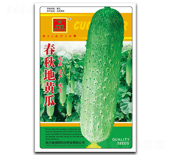 春秋地黃瓜-黃瓜種子-科興種業(yè)