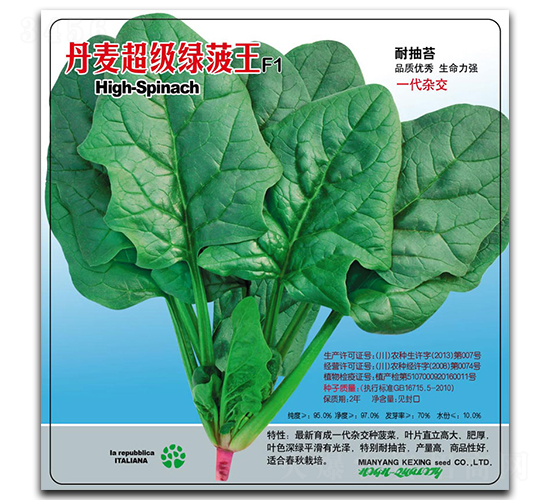 丹麥超級綠菠王-葉菜種子-科興種業(yè)