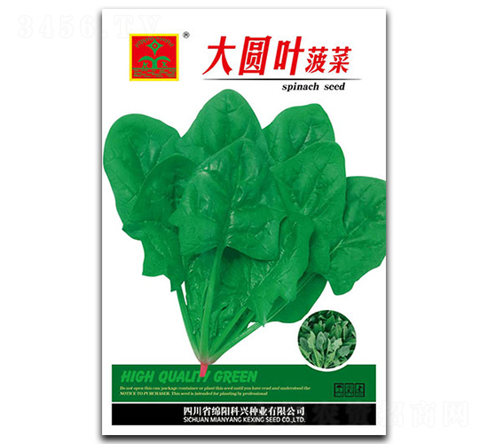 大圓葉菠菜-葉菜種子-科興種業(yè)