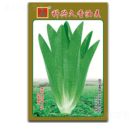 ����������-�~�˷N��-���d�N�I(y��)