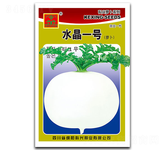 水晶一號-蘿卜種子-科興種業(yè)