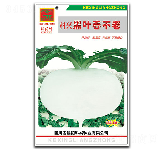 黑夜春不老蘿卜-蘿卜種子-科興種業(yè)