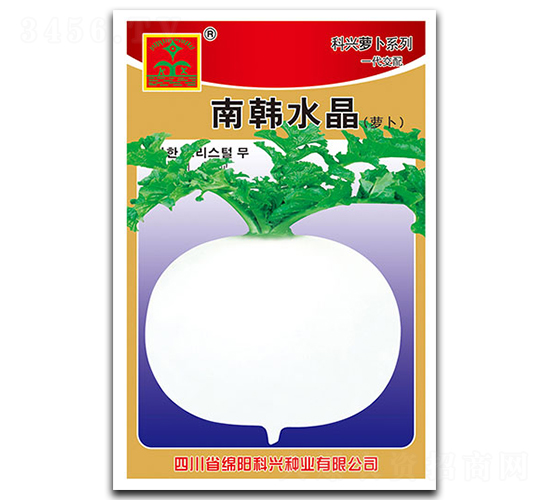 南韓水晶-蘿卜種子-科興種業(yè)