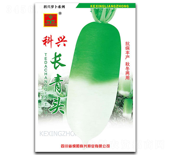 科興長(zhǎng)青頭-蘿卜種子-科興種業(yè)