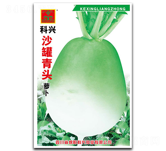 沙罐靑頭蘿卜-蘿卜種子-科興種業(yè)