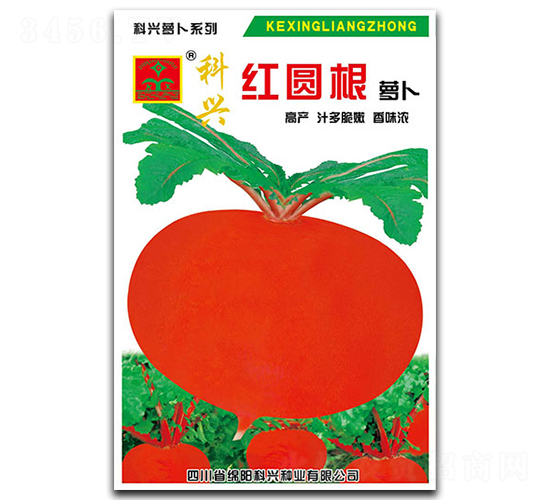 紅圓根蘿卜-蘿卜種子-科興種業(yè)