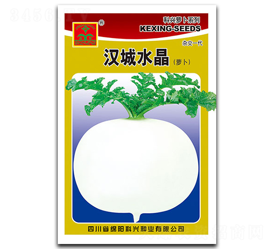 漢城水晶-蘿卜種子-科興種業(yè)