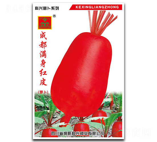 滿身紅皮蘿卜-蘿卜種子-科興種業(yè)