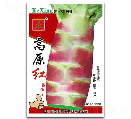 高原紅-萵筍種子-科興種業(yè)