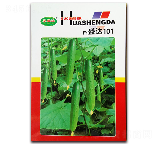 F1盛達(dá)101-黃瓜種子-華盛達(dá)
