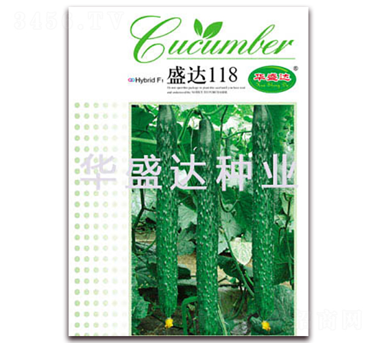 盛達(dá)118-黃瓜種子-華盛達(dá)