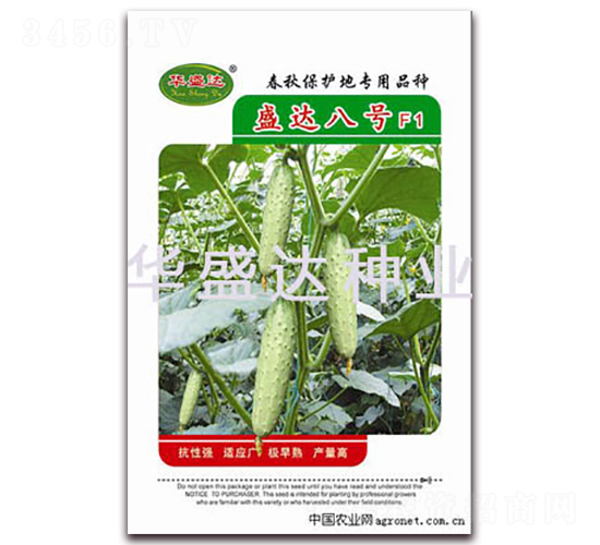 盛達(dá)八號F1-黃瓜種子-華盛達(dá)