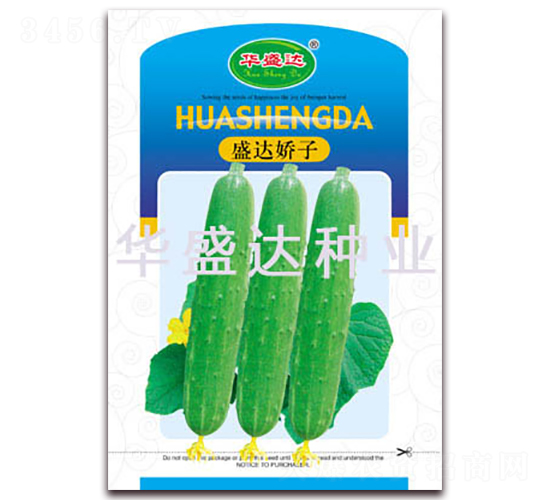 盛達嬌子-黃瓜種子-華盛達