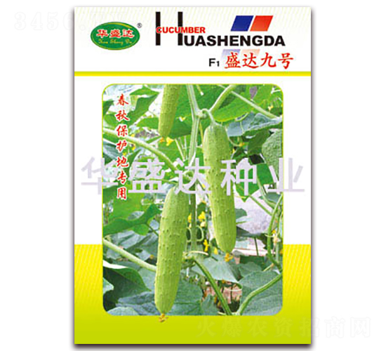 F1盛達(dá)九號(hào)-黃瓜種子-華盛達(dá)