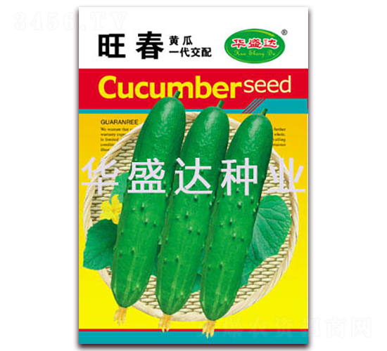 旺春-黃瓜種子-華盛達(dá)
