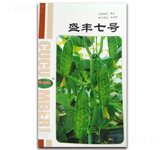 盛豐七號(hào)-黃瓜雜交種-華盛達(dá)