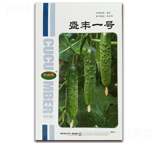 盛豐一號(hào)-黃瓜種子-華盛達(dá)