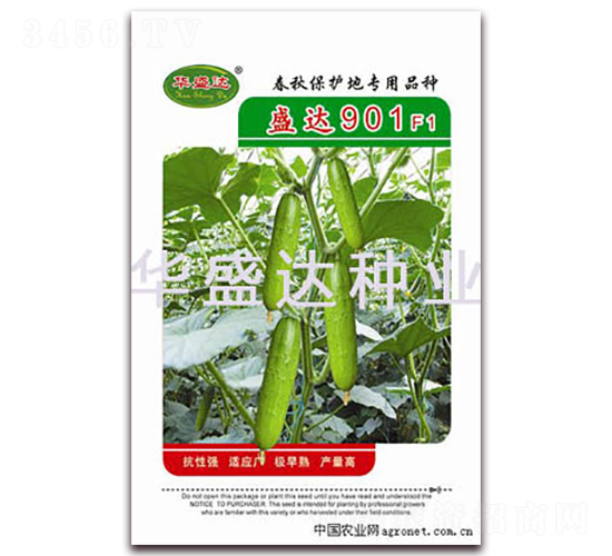 盛達901F1-黃瓜種子-華盛達