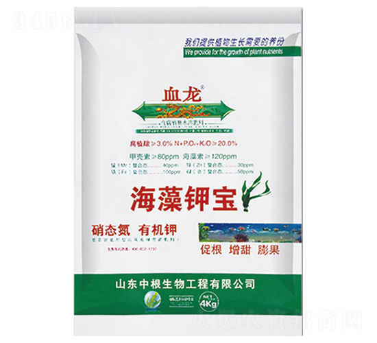 ����⛌�-Ѫ��-�и�����