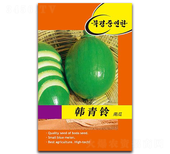 韓青鈴南瓜-南瓜種子-鑫博大