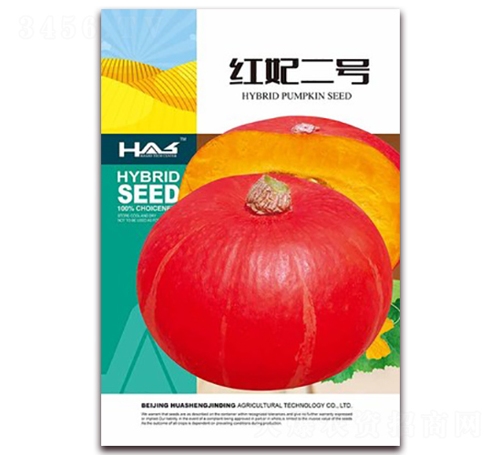 紅妃二號(hào)-南瓜種子-鑫博大